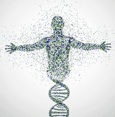 Human DNA